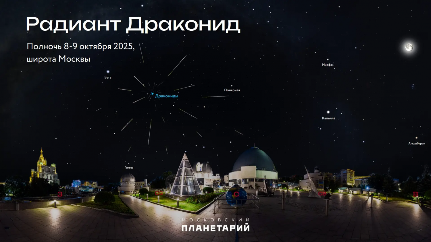 д1.webp