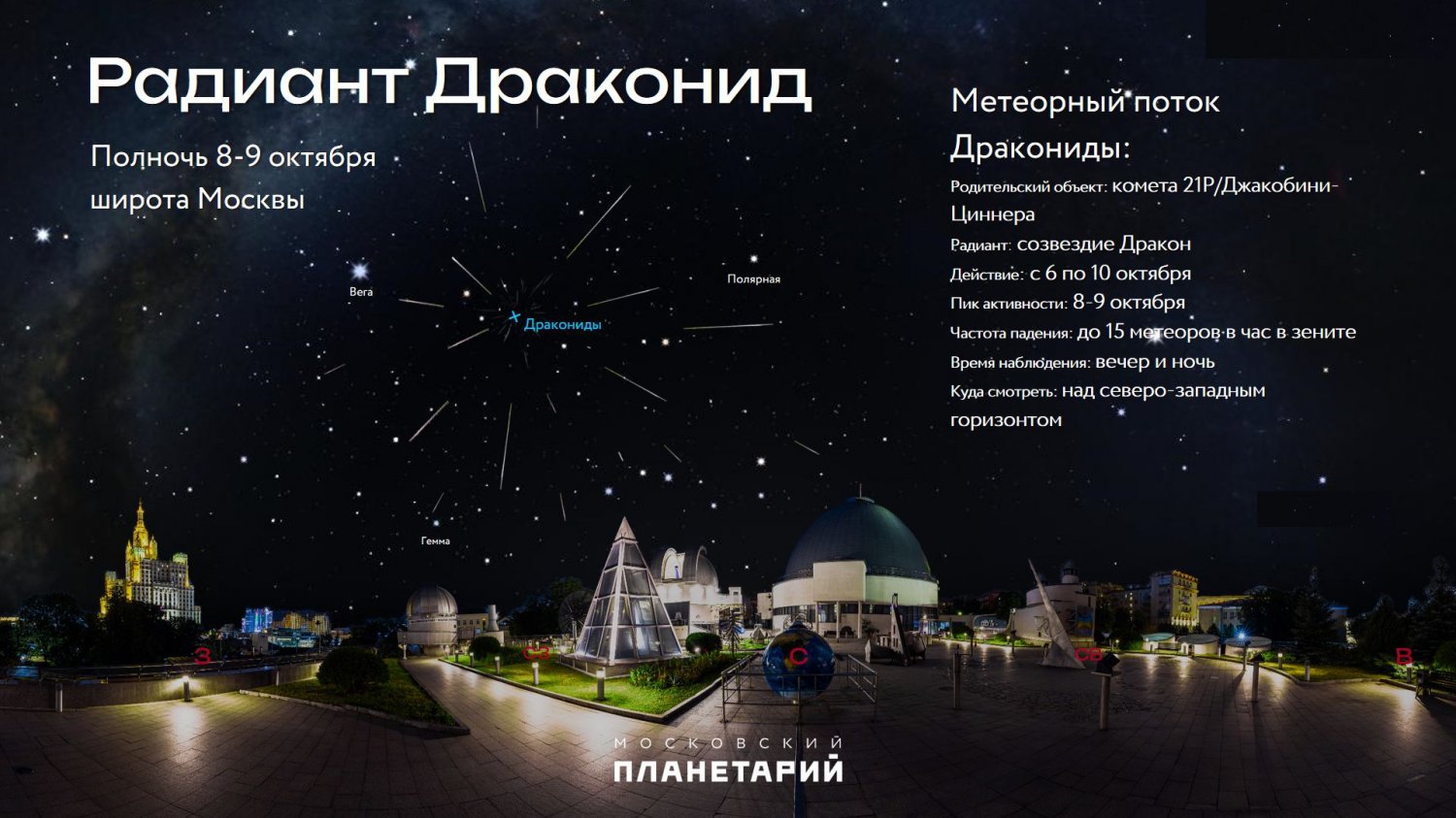 д