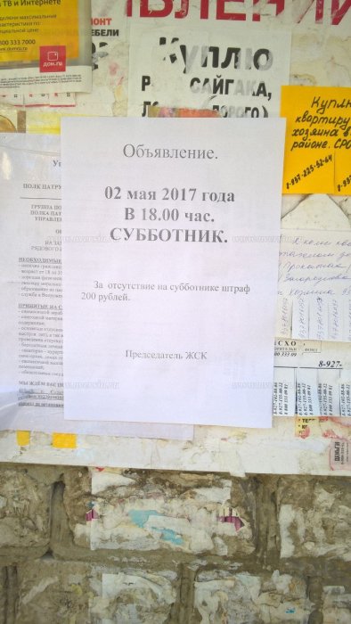 Объявления на субботники жителей села образец