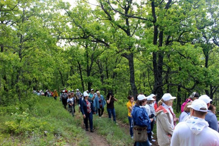 Экотропе национального парка Хвалынский,