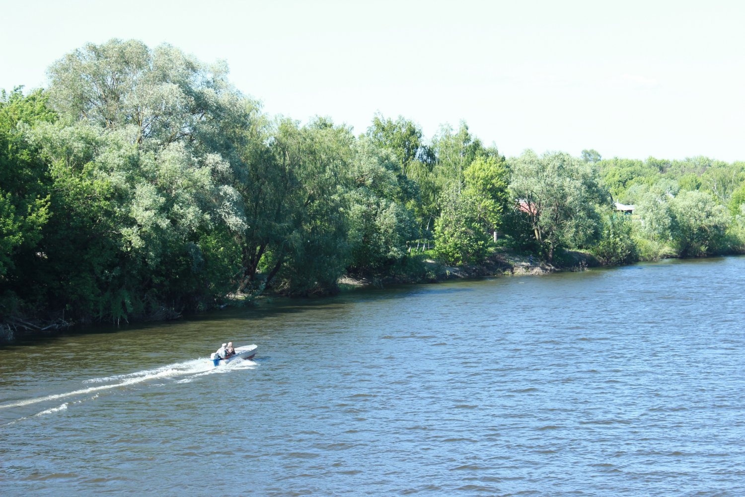 Река Хопер Балашов загрязнение