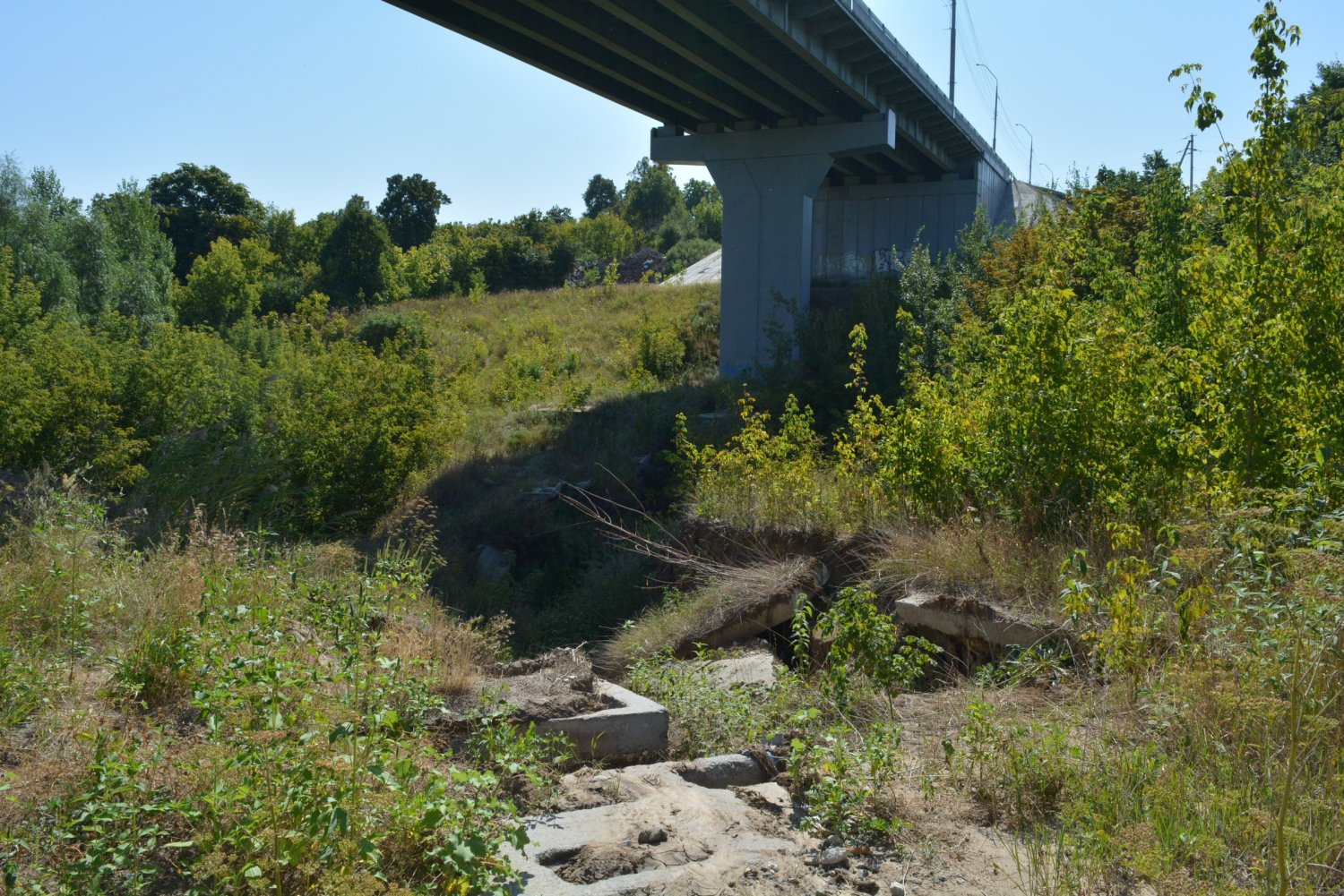 Алексеевский мост