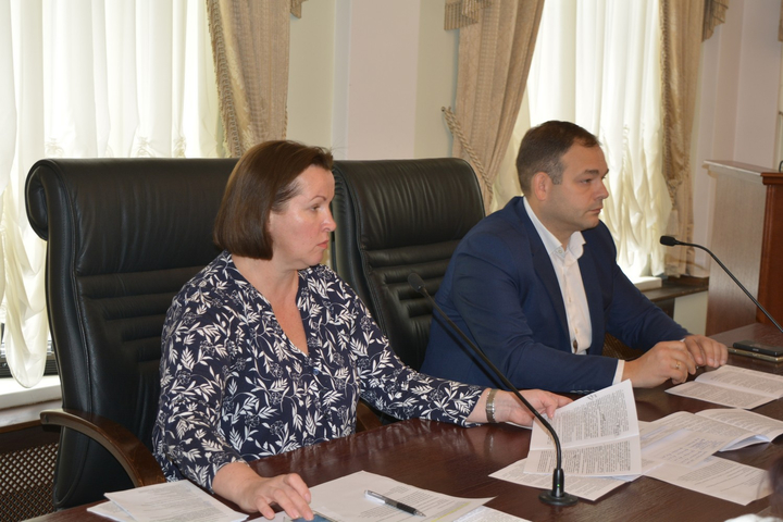 Председатель комитета провового обеспечения Светлана Нестеренко и депутат Дмитрий Кудинов