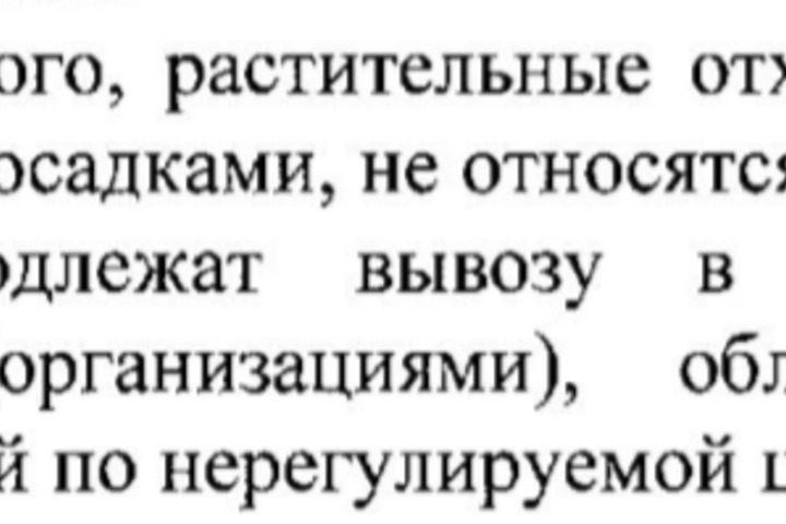 Выдержка из документа 