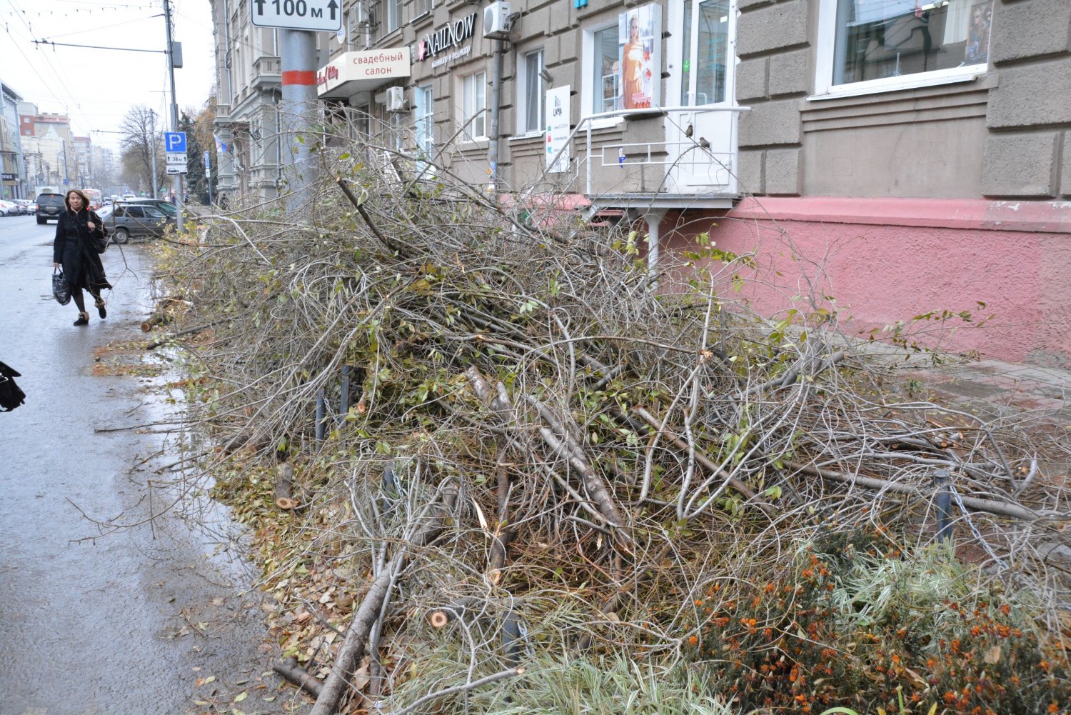 Барнаул в центре города спилили яблоню.