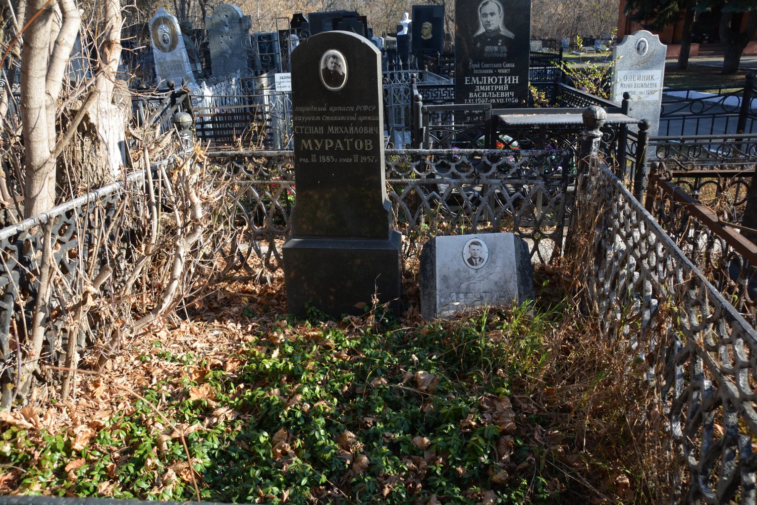 могила чернышевского в саратове фото