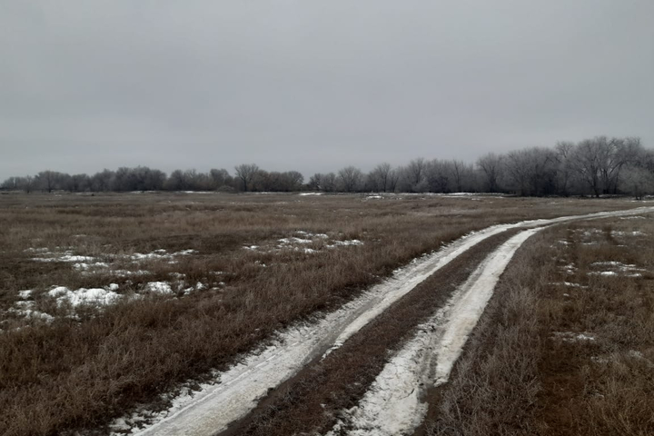 окраина села Куриловка, Новоузенский район