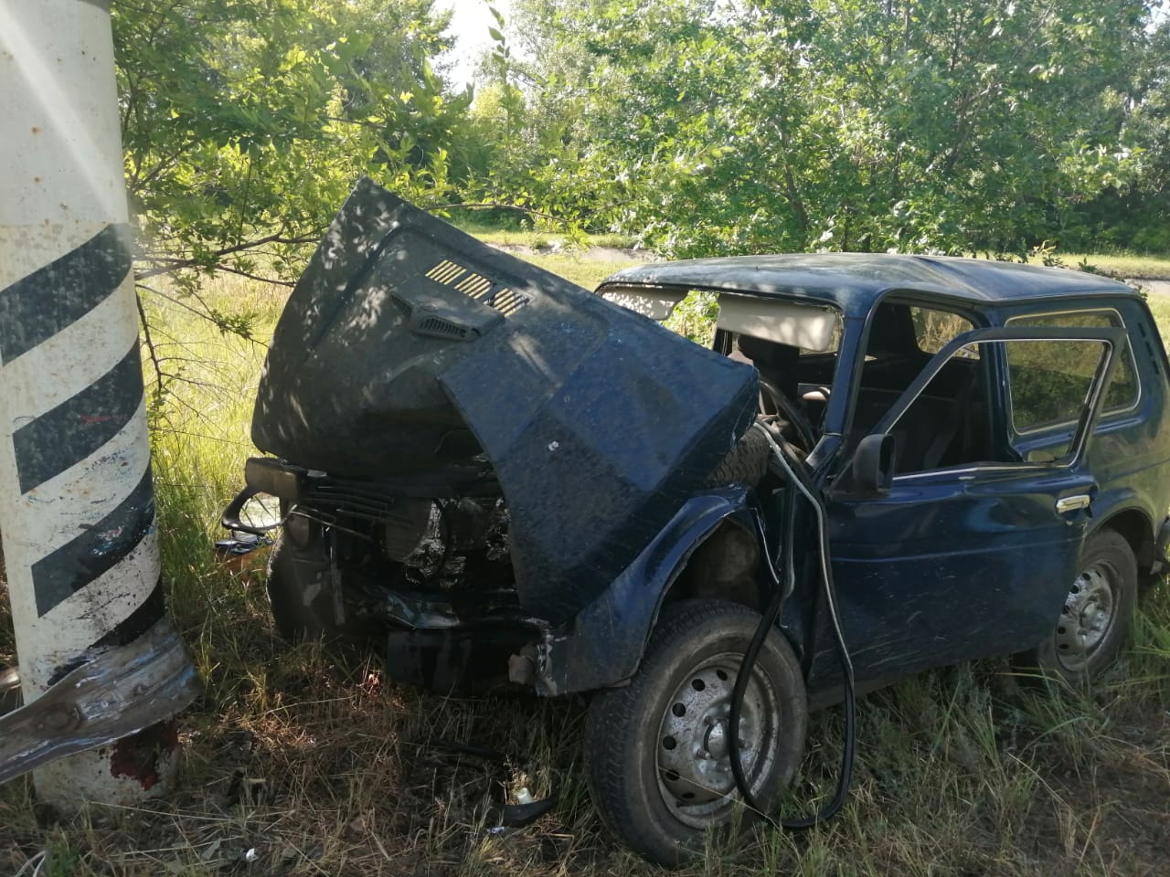 В Балаковском районе «Нива» протаранила столб. Погибли водитель и пассажир  — ИА «Версия-Саратов»