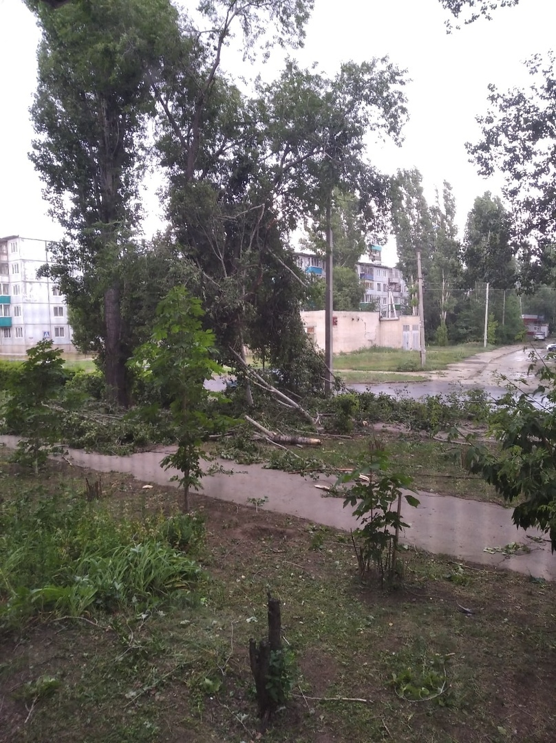 В Балаково ураган повалил деревья и опрокинул автомобили — ИА  «Версия-Саратов»