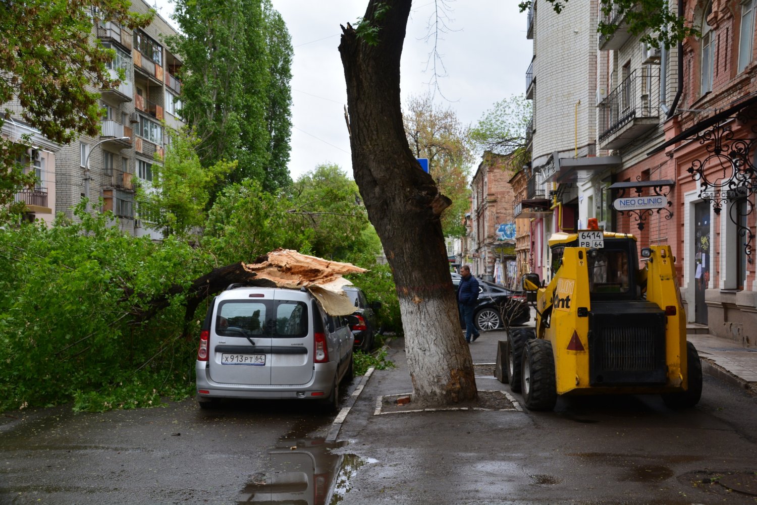 На дорогу в центре города рухнуло дерево: улица перекрыта, очевидцы  сообщают о четырех задетых машинах — ИА «Версия-Саратов»