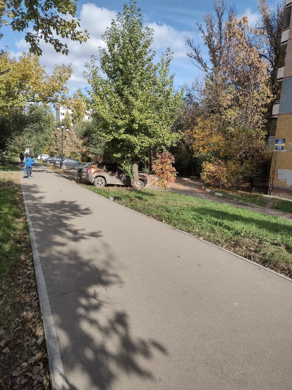 Не так давно привели аллею в порядок. Глаз радовался»: горожане возмутились  автохамам, которые паркуют машины на новом газоне | 21.10.2022 | Саратов -  БезФормата