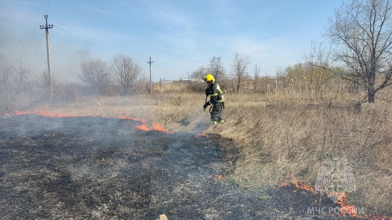 На окраине Саратова горит 800 квадратных метров травы и камыша: огонь  перекинулся на дома — ИА «Версия-Саратов»