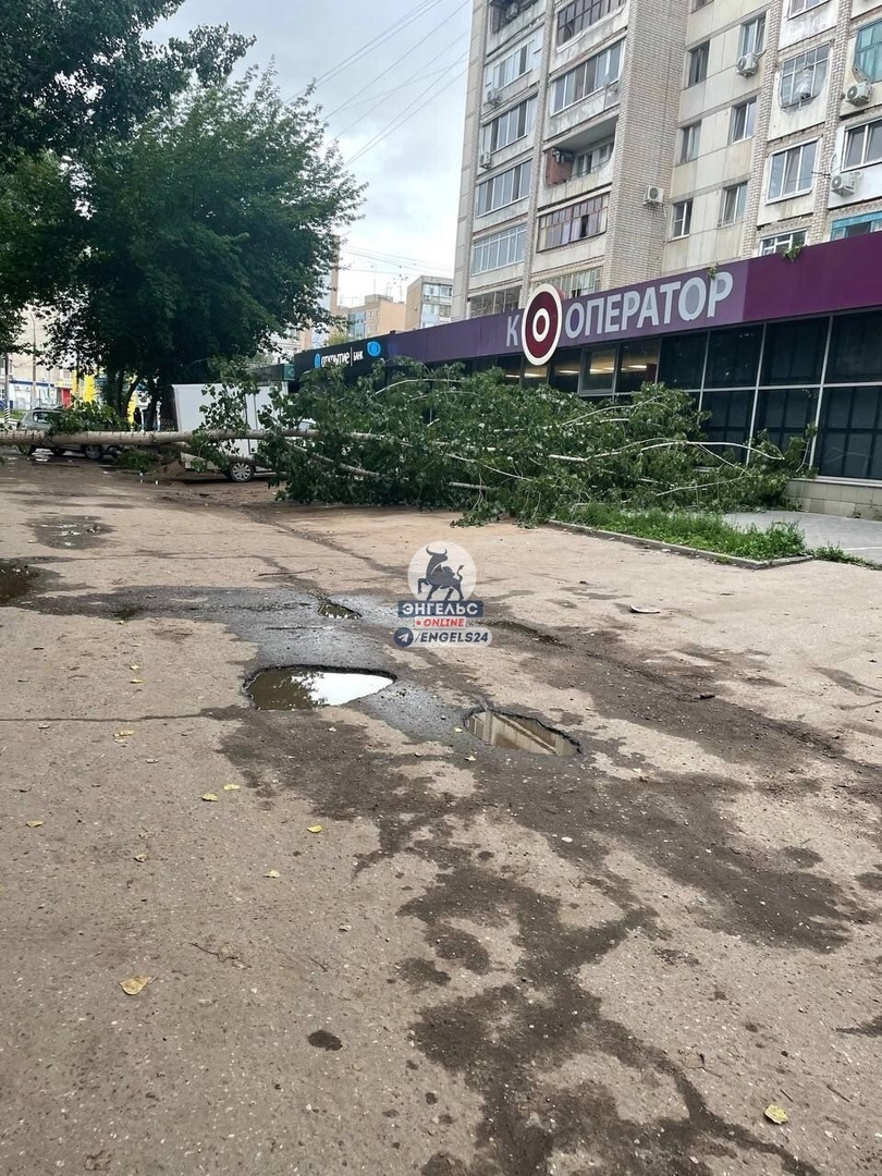 В Пугачеве во время урагана дерево упало на жилой дом, жители опасаются  нового ЧП — ИА «Версия-Саратов»