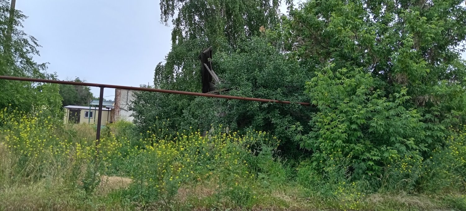 Жители села просят чиновников снести разрушенное здание рядом с детской  площадкой, которое превратили в общественный туалет — ИА «Версия-Саратов»