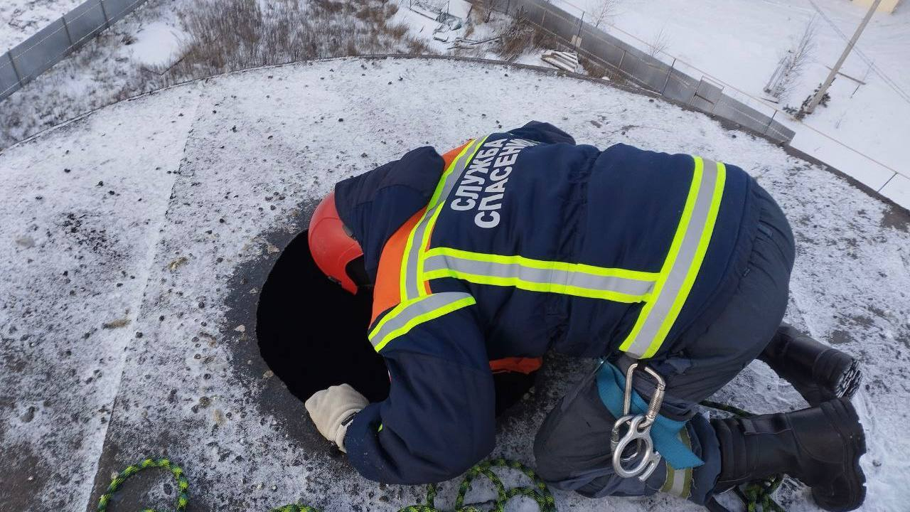 Служебный сокол попал в 20-метровую башню и не мог выбраться. К нему на  помощь пришли спасатели — ИА «Версия-Саратов»