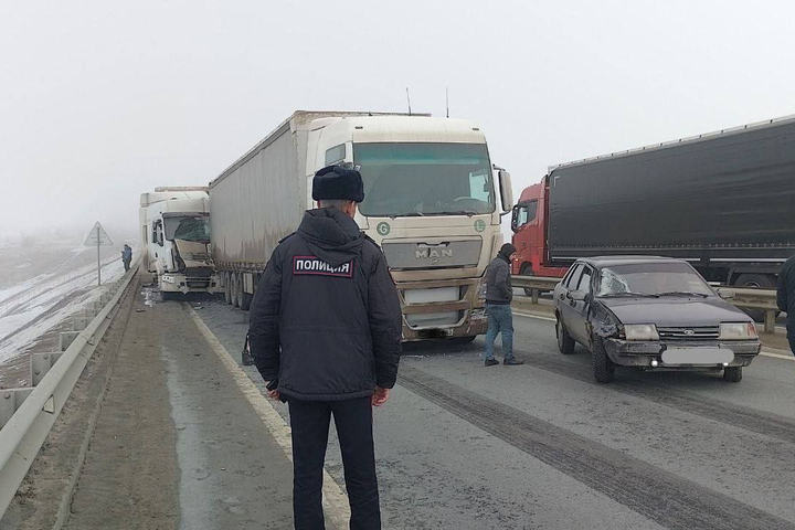 © Госавтоинспекция Саратова