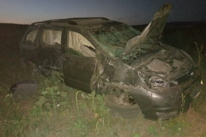 ДТП в Озинском районе / &copy; УГИБДД по Саратовской области