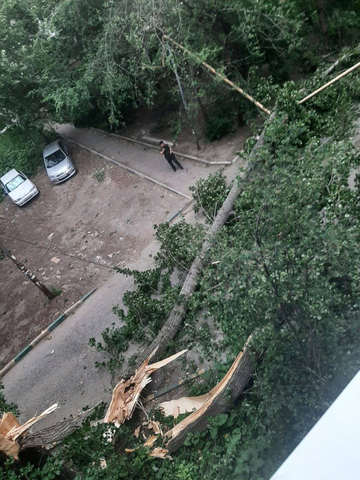 Жуковского, 20 / Telegram-канал «Saratov Detka»