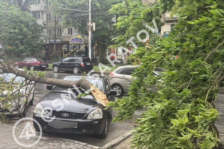 Барнаульская, 34 / Telegram-канал «Новости Саратова и области»