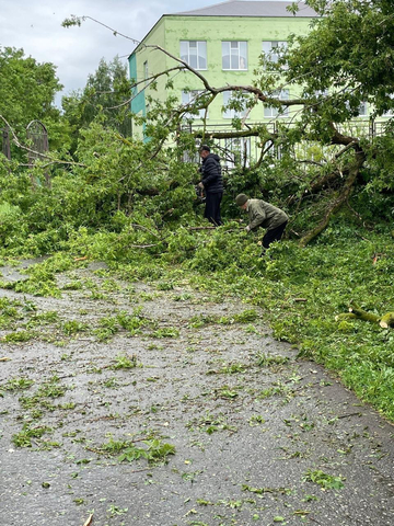 Последствия урагана в Базарно-Карабулакском районе / © Telegram-канал администрации Базарно-Карабулакского района