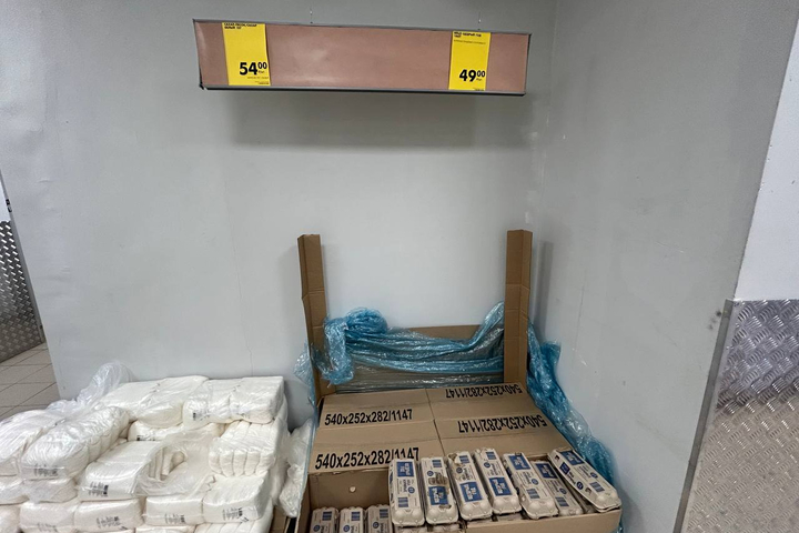 Чижик