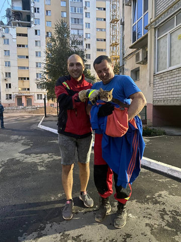  Спасение кота Кеши / © Городская служба спасения Саратова