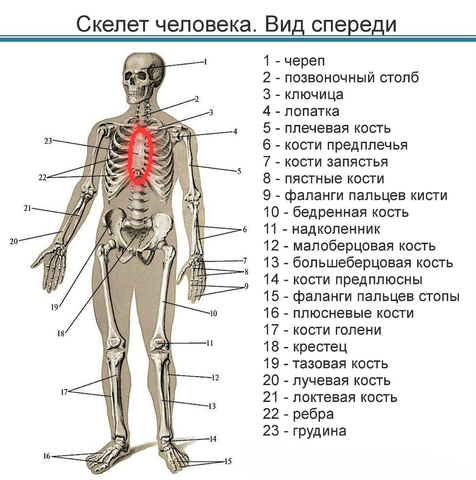© ГУЗ СО «Балаковская городская клиническая больница»