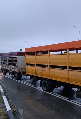 © управление ветеринарии правительства Саратовской области