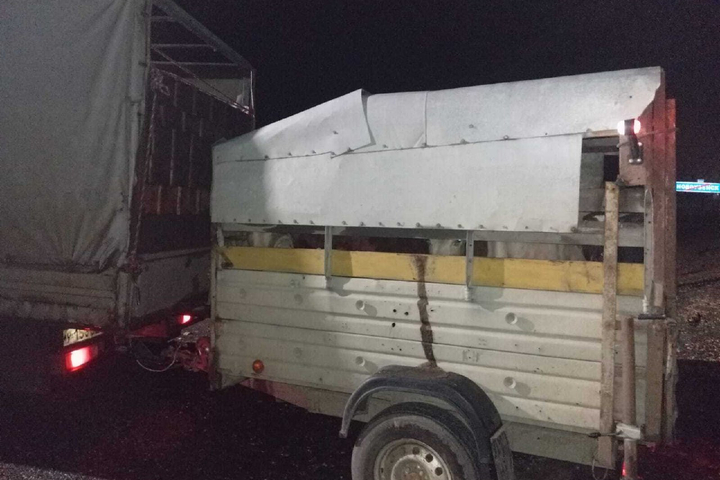 © управление ветеринарии правительства Саратовской области