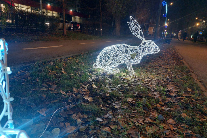 ржавая фигура в пешеходной зоне на Рахова / © ИА «Версия-Саратов»