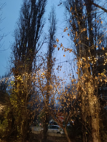 Фото Елены из чата администрации Октябрьского района