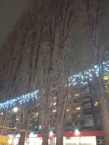 фото саратовца Андрея с улицы Рахова  / чат администрации Октябрьского района