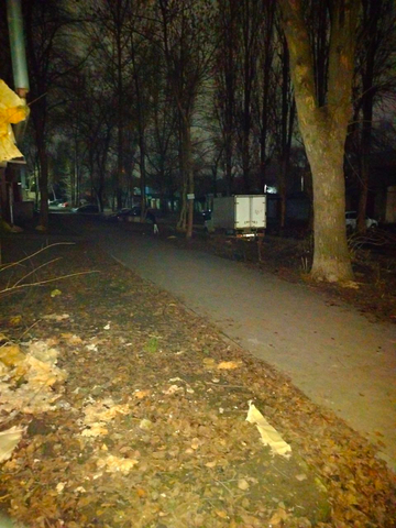 На улице 1-я Прокатная / фото из комментариев в Telegram-канале мэрии Саратова