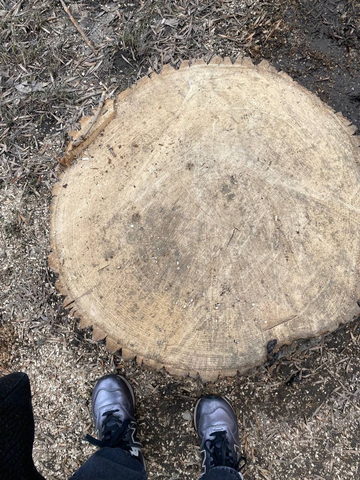 Улица Вольская / &copy; Фото Людмилы Даниловой в Telegram-чате администрации Октябрьского района