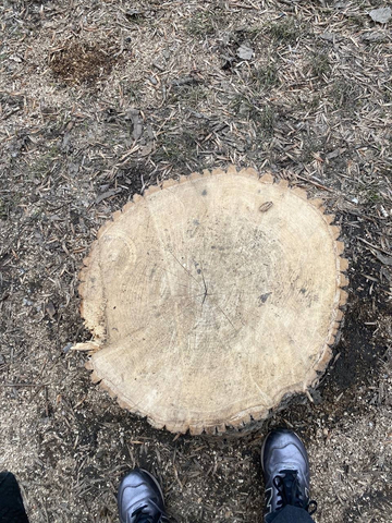 Улица Вольская / &copy; Фото Людмилы Даниловой в Telegram-чате администрации Октябрьского района