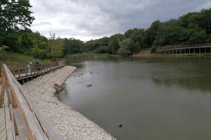 &copy; Фото Анны в Telegram-чате Игоря Молчанова