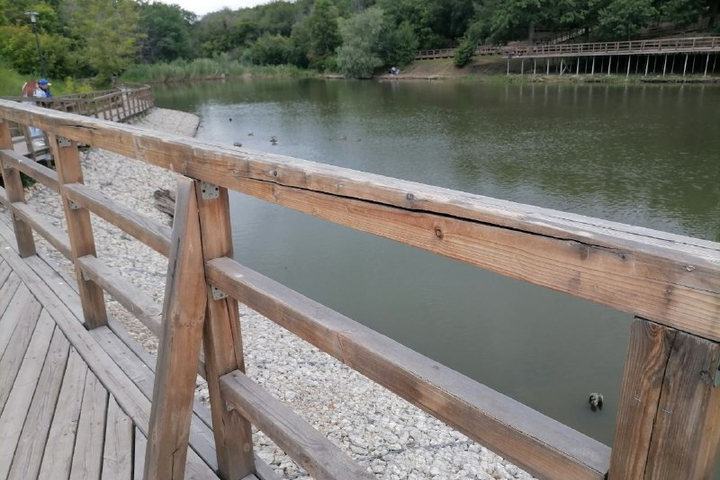 &copy; Telegram-канал Солнечный Саратов