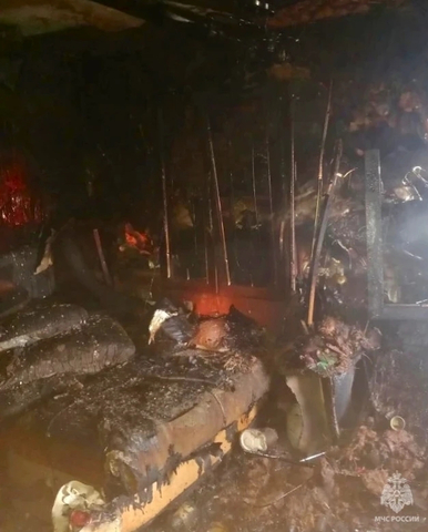 (с) ГУ МЧС по Саратовской области