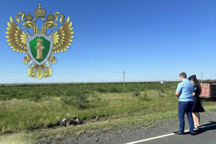 &copy; прокуратура Саратовской области