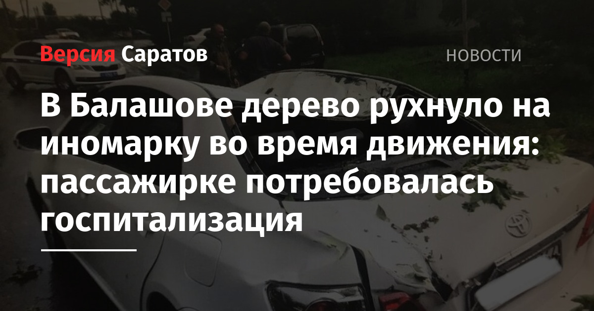 В Балашове дерево рухнуло на иномарку во время движения: пассажирке потребовалась госпитализация — ИА «Версия-Саратов»