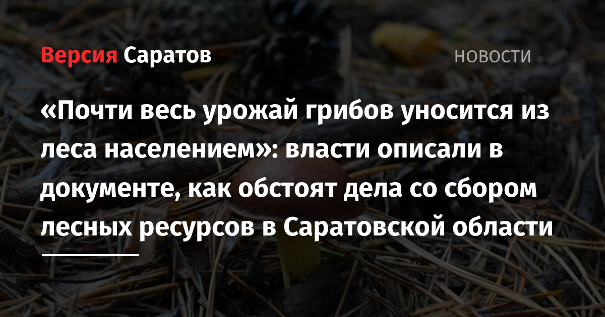 Лесной план саратовской области