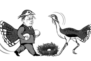 Редкие животные