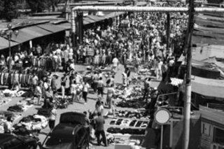 Саратов станет... кипрским?