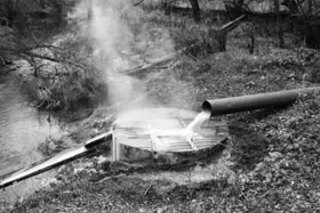 Барда в голове