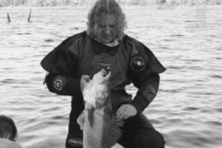 Усатые красотки