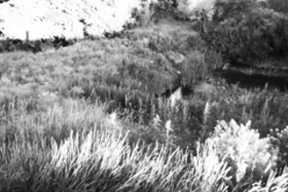 Земельные мытарства