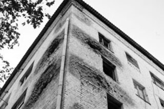 Всем скинуться