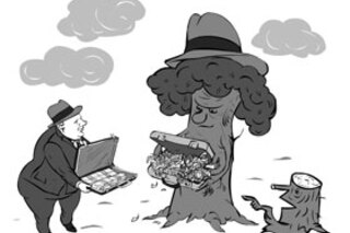 Массовые посадки