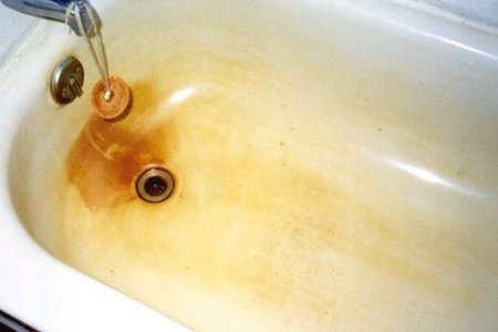 Мученики науки