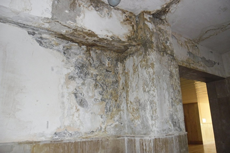 Комплекс власти